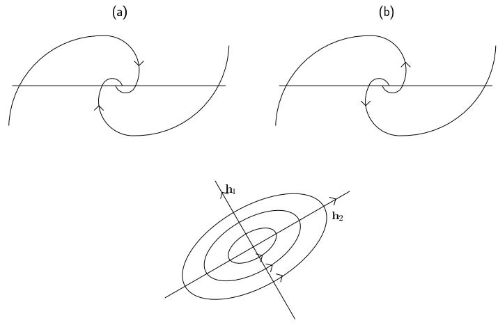Figure 4.2 (a) Stable focus, (b) unstable focus, (c) vortex point