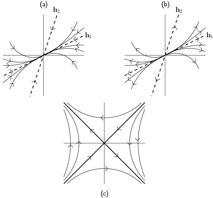 Figure 4.1 (a) Stable node, (b) unstable node, (c) saddle point