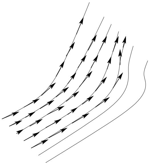 Figure 15.6 Streamlines representing the flow generated by a vector field