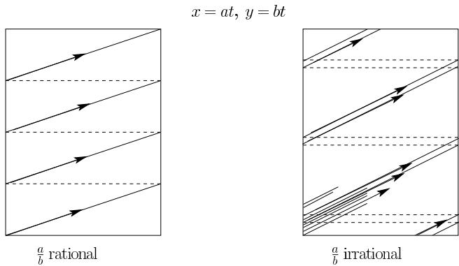 Figure 15.5 Submanifolds of the torus