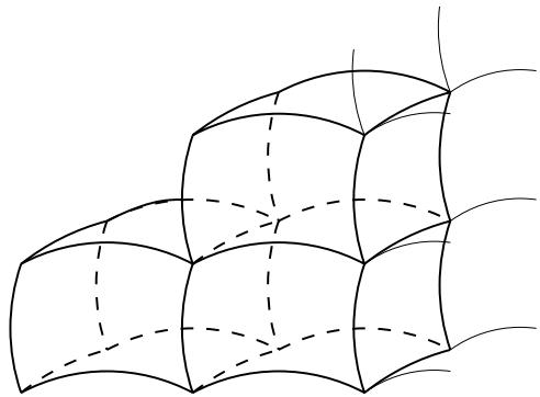 Figure 17.3 A regular domain on a manifold